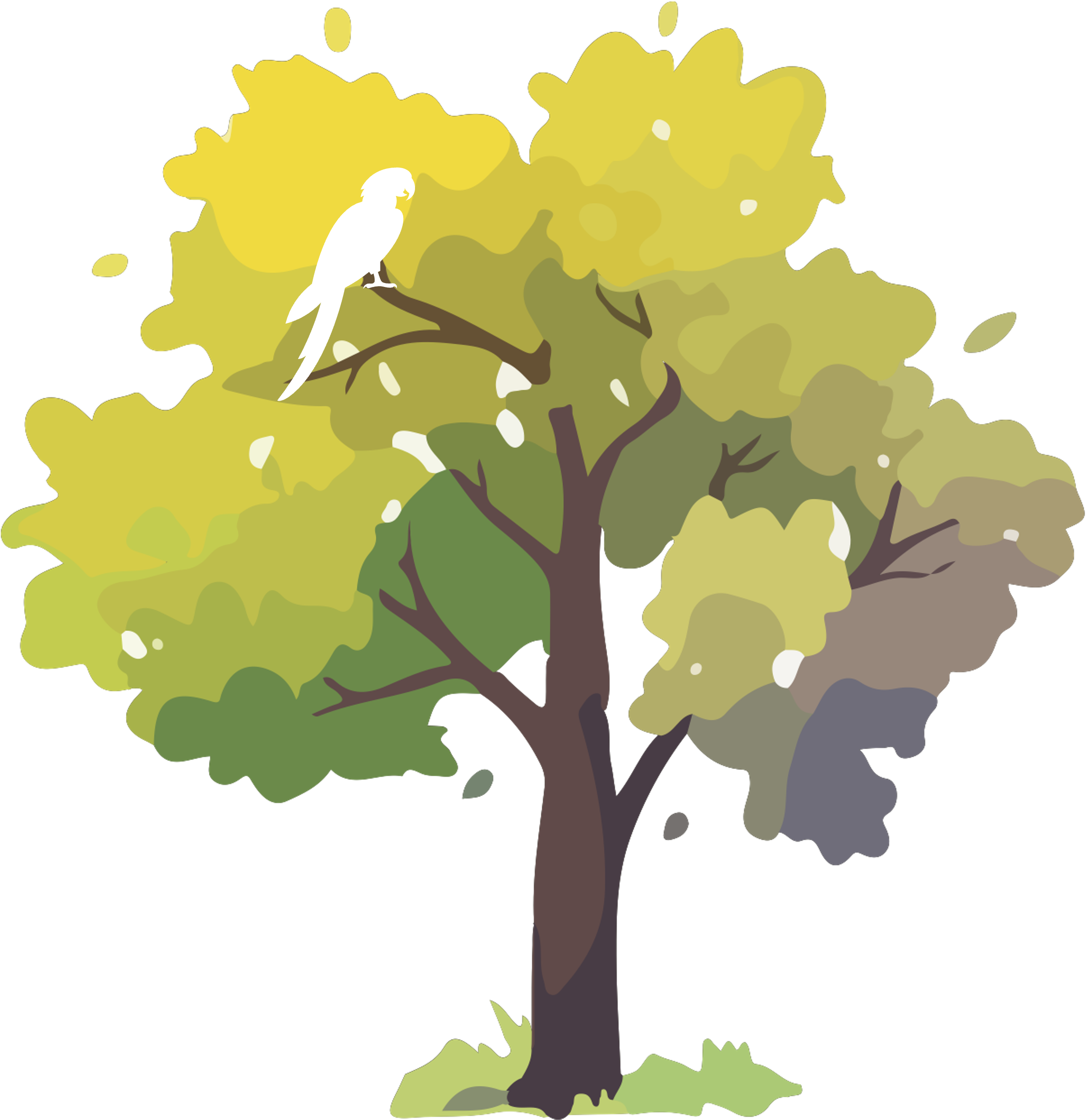 geranium logo
